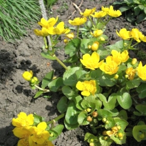 ���� � �������