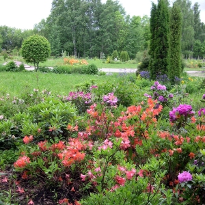 ������������ ��� ����. �� ���� ����!