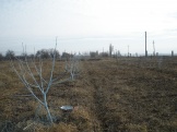 PC211652.JPG