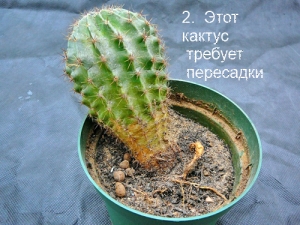 2.jpg 2.jpg