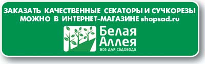 СЕКАТОРЫ.jpg СЕКАТОРЫ.jpg