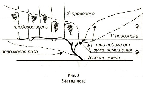 vino10.jpg vino10.jpg