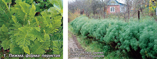 Без-имени-1.jpg Без-имени-1.jpg