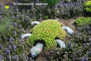 05.jpg 05.jpg
