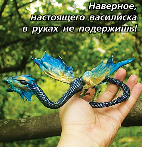 2.jpg 2.jpg