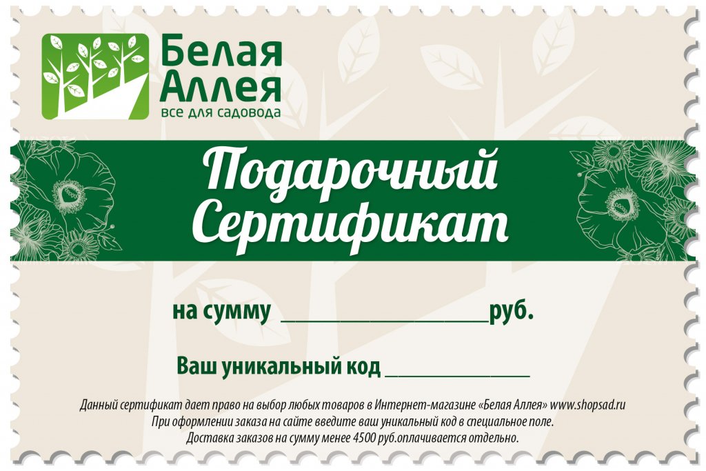 подарочный сертификат подарочный сертификат