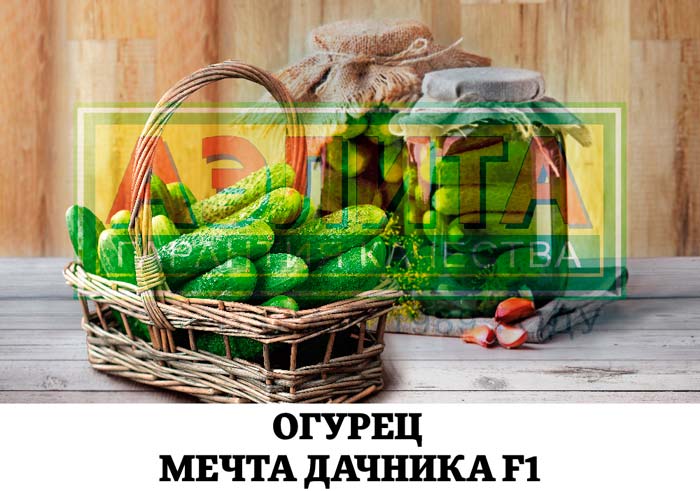 ai_rus_df_117922498_ogurec-mechta-dachnika.jpg