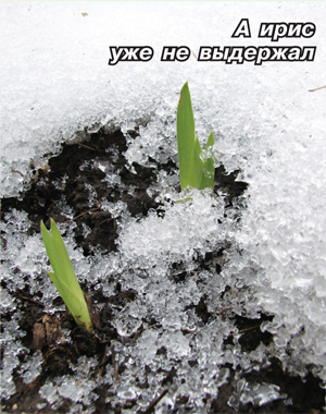 2.jpg 2.jpg