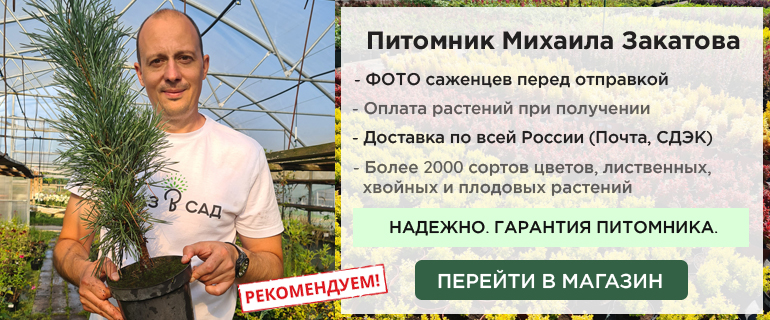 _баннер.jpg _баннер.jpg