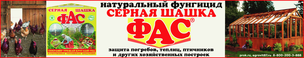 ФАС шашка 3 на сайт.gif ФАС шашка 3 на сайт.gif