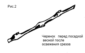 dghm.png dghm.png