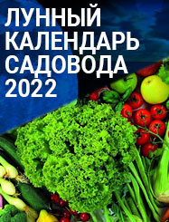 Белая Аллея Интернет Магазин Каталог На 2022 Белая Аллея Интернет Магазин Каталог На 2022