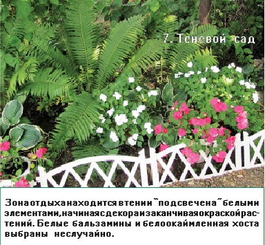 p7.jpg p7.jpg