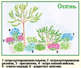 osen.jpg osen.jpg