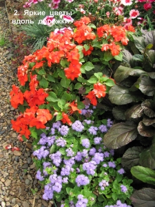 p2.jpg p2.jpg