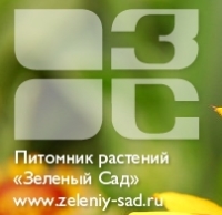 �������� �������� �������� ���