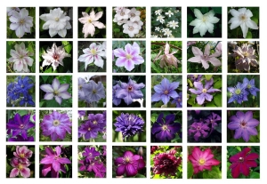 �������� ������. ��������� � ������� ��������