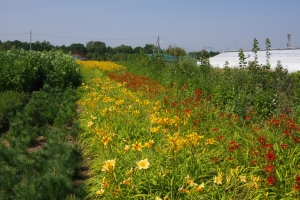 �������� ������������ �������� ����λ