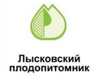 ���������� �������������