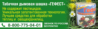 Что такое тригонелла