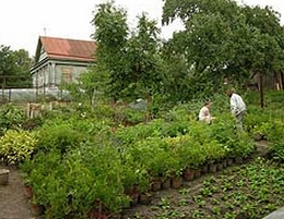 �������� �������� ���������